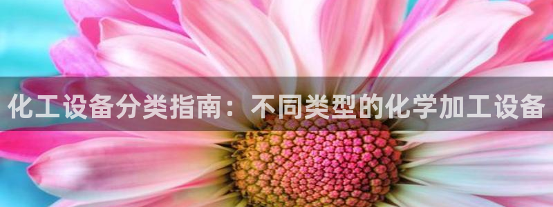 新城平台公司