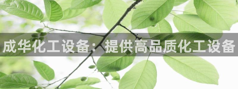新城平台是干嘛的