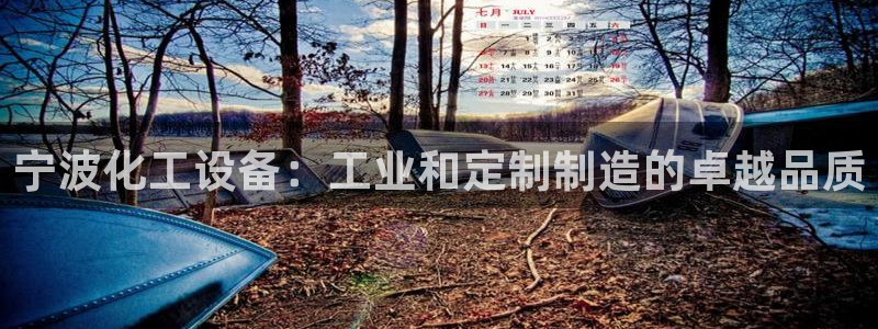 新城平台登录入口官网查询系统