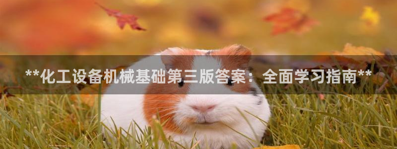 新城平台注册登录地址在哪