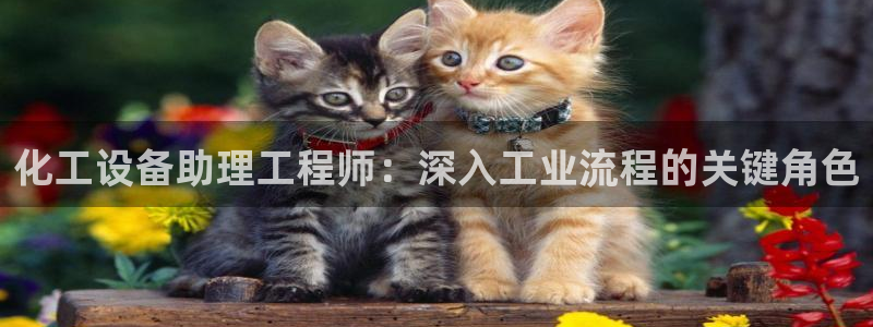新城平台一新城注册