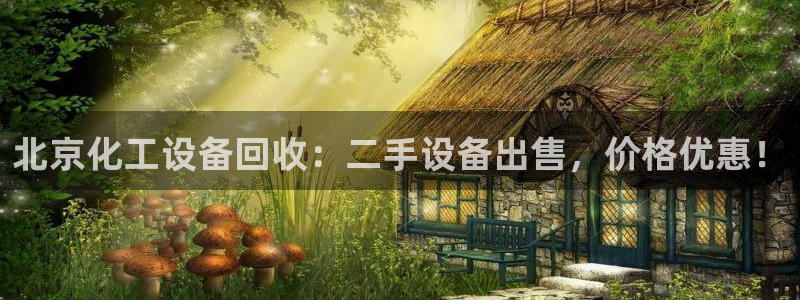 新城平台线路登录不上去怎么回事呀
