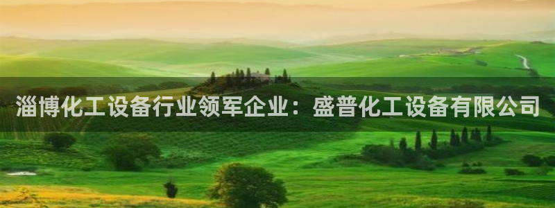 新城平台登录入口官网下载安装