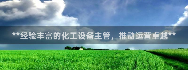 新城平台是干嘛的公司