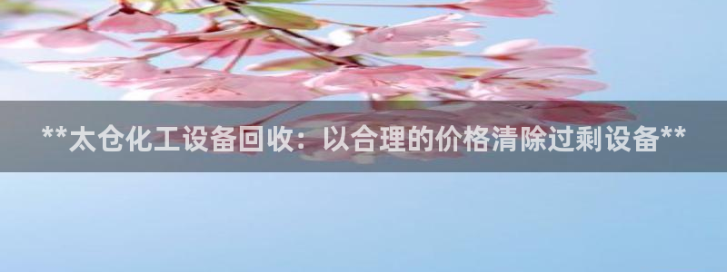 新城平台总代