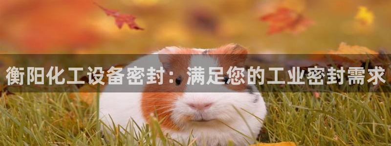 新城平台游戏