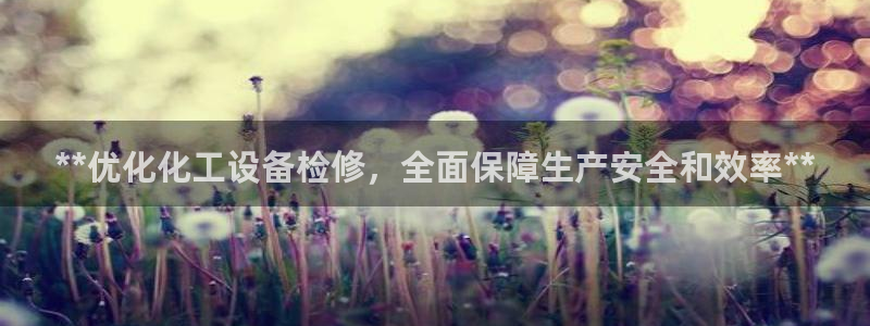 新城平台登录入口官网查询信息
