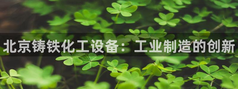 新城平台注册登录地址是什么