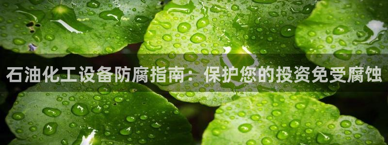 新城平台注册流程及费用