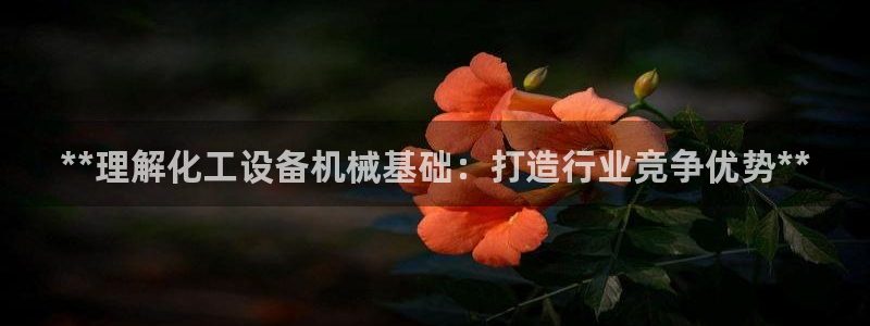 新城平台注册网址是什么