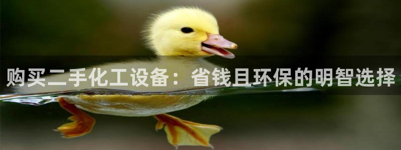 新城平台公司