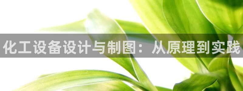 新城平台是干嘛的公司