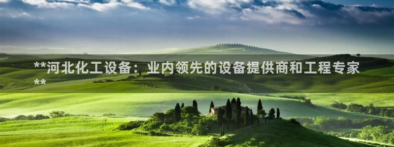 新城平台官网