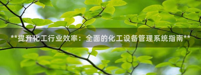 新城平台登录入口官网首页下载