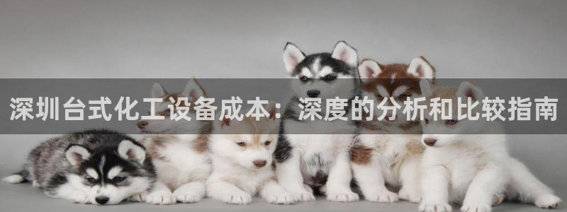 新城平台代理怎么样