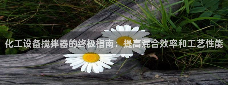 新城平台注册登录地址在哪