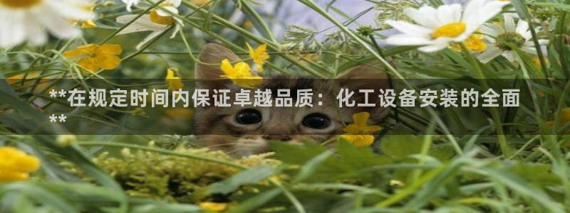 新城平台在线登陆