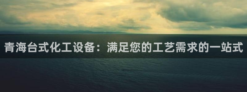 新城平台主管