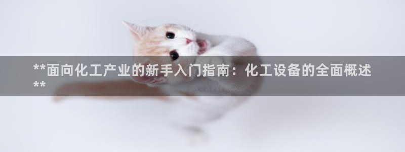 新城平台代理注册条件