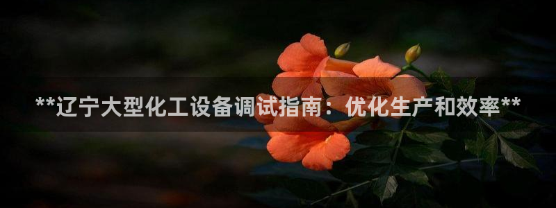 新城平台是干嘛的公司啊