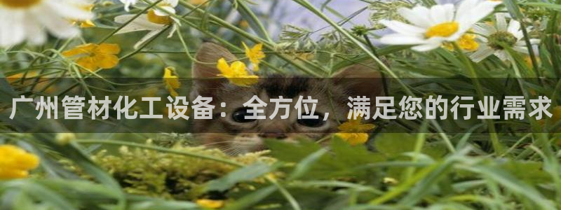 新城平台网址