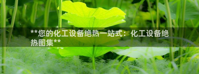 新城平台代理