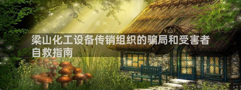 新城平台注册网址