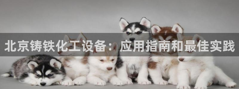 新城平台注册资金多少亿