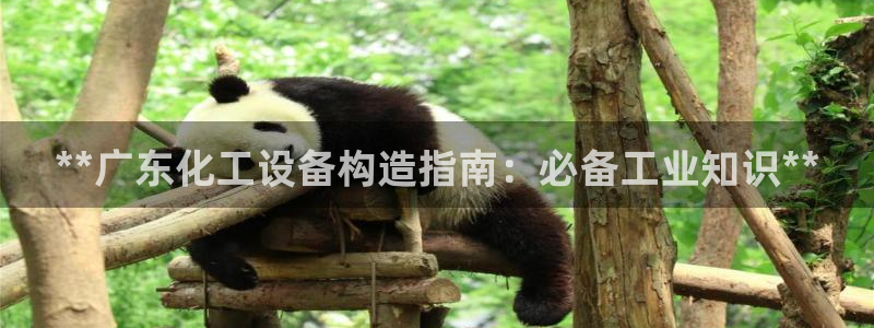 新城平台主管