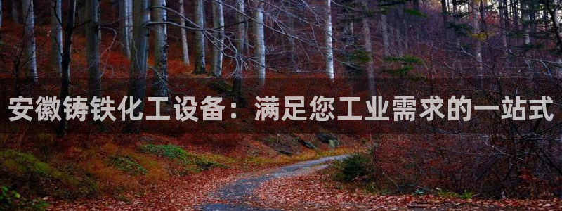 新城平台平台最新活动消息