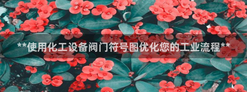 新城平台平台最新活动信息
