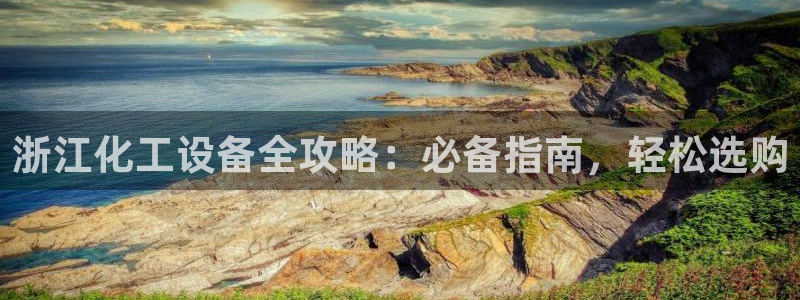 新城平台登录入口官网查询
