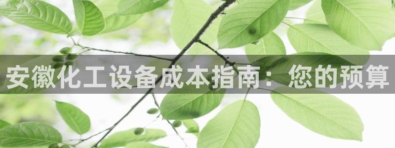 新城平台公司是国企吗