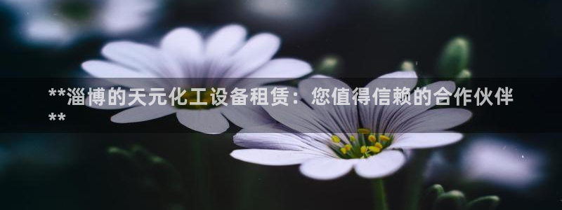 新城平台代理