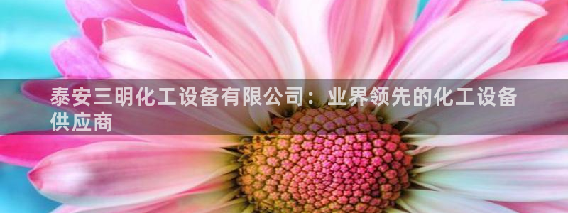 新城平台官网首页网址