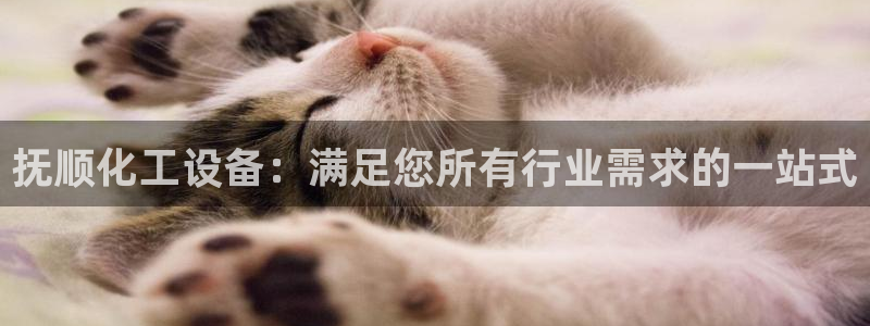 新城平台代理怎么做