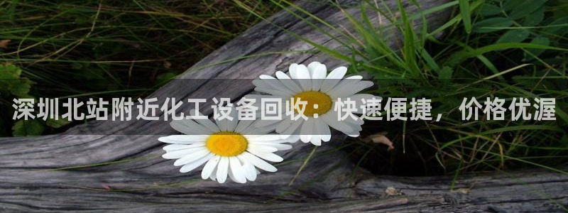 新城平台线路登录不上去怎么办呀