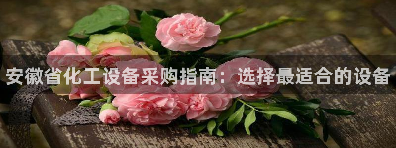 新城平台平台最新活动
