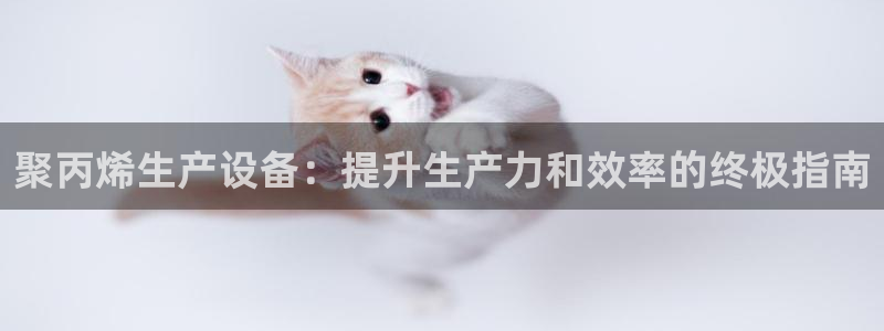 新城平台是干嘛的公司有哪些