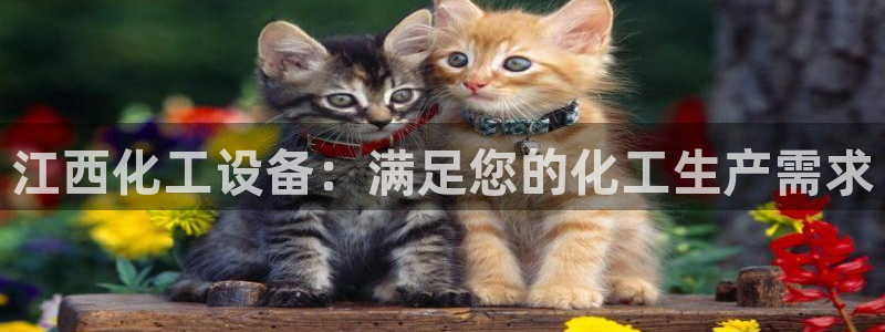 新城平台线路登录不上去怎么回事呀