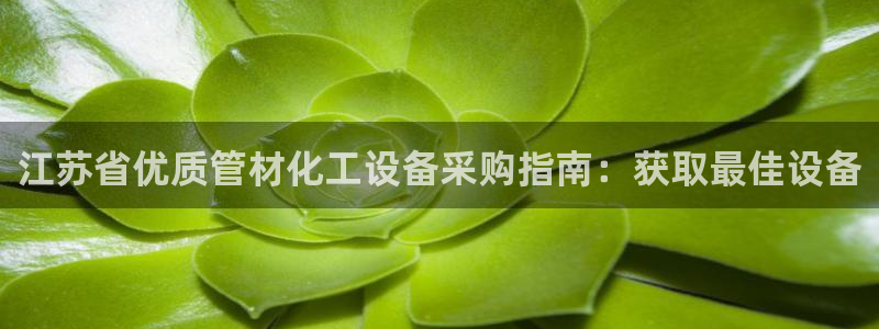 新城平台登录入口官网网址是什么