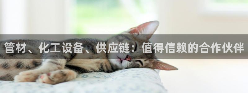 新城平台官网首页