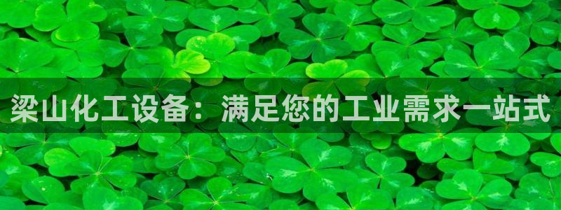 新城平台是干嘛的公司