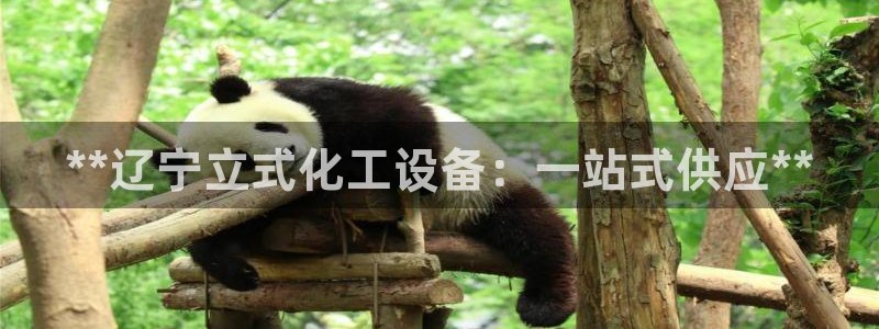 新城平台官网首页