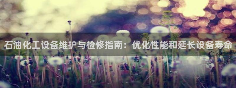 新城平台招商