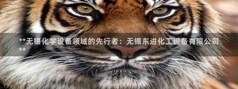 新城平台官网首页入口