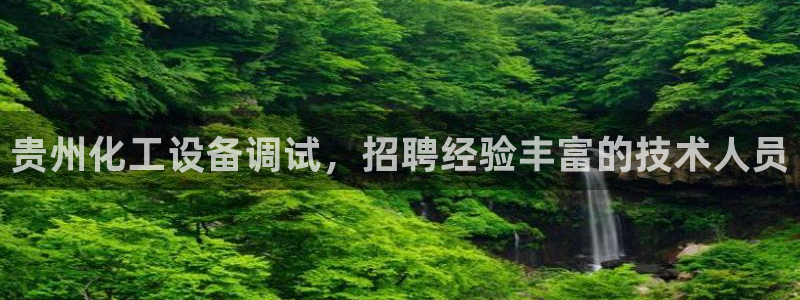 新城平台是干嘛的公司