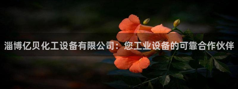新城平台登录密码忘了怎么办