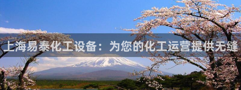 新城平台登录密码忘了怎么办