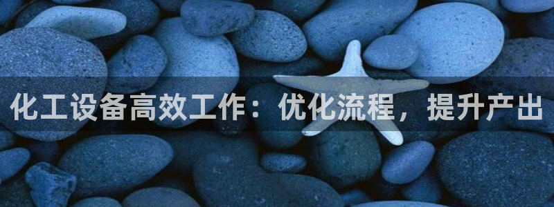 新城平台是干嘛的公司